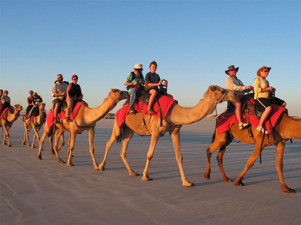 Rajasthan Tour Packages from Australia