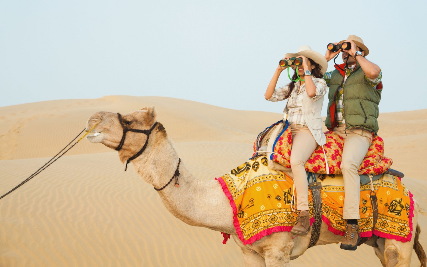 Find Rajasthan Tours & Vacations